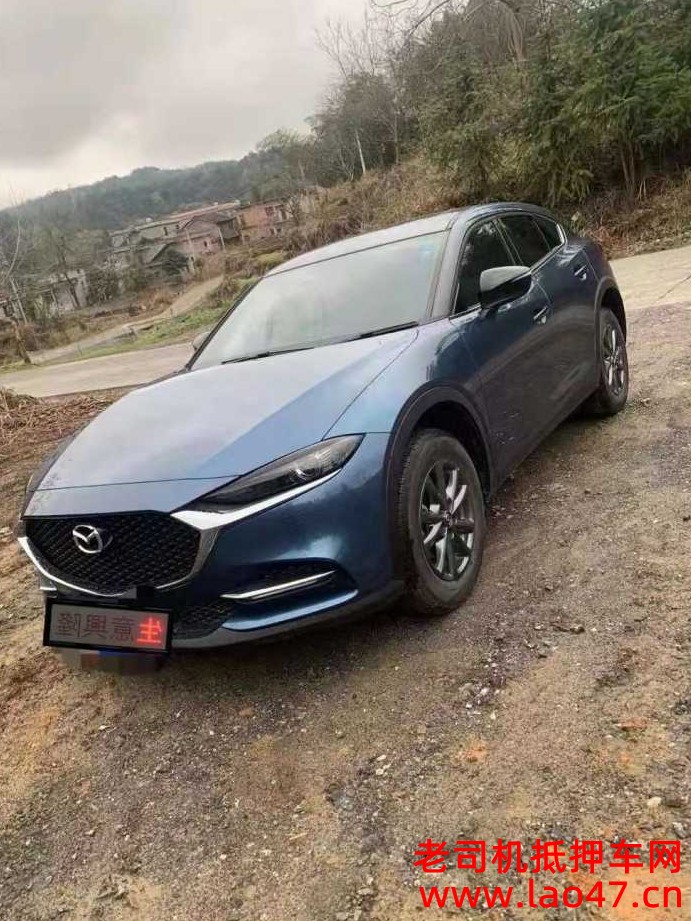 żҽ23ԴCX-4