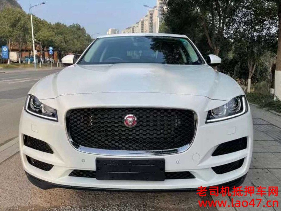 24ݱF-PACE