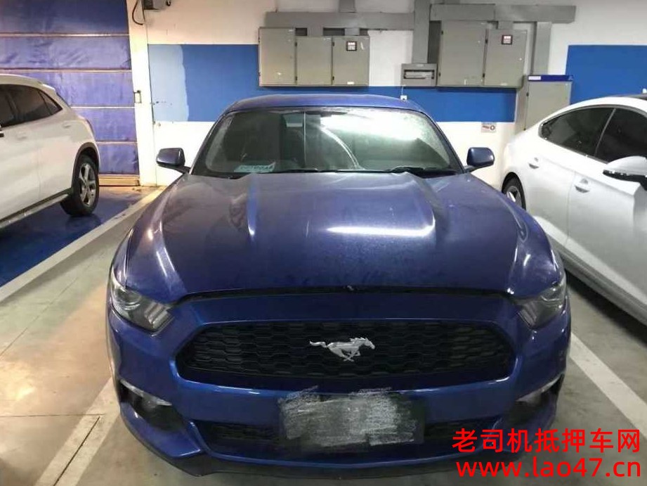 żҽ20긣ҰMustang