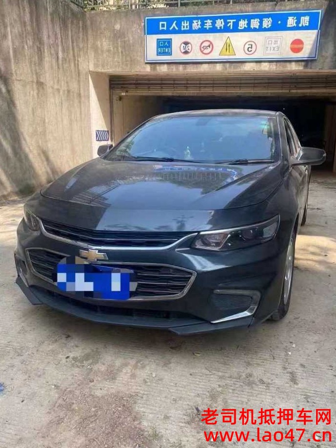 19ѩXL