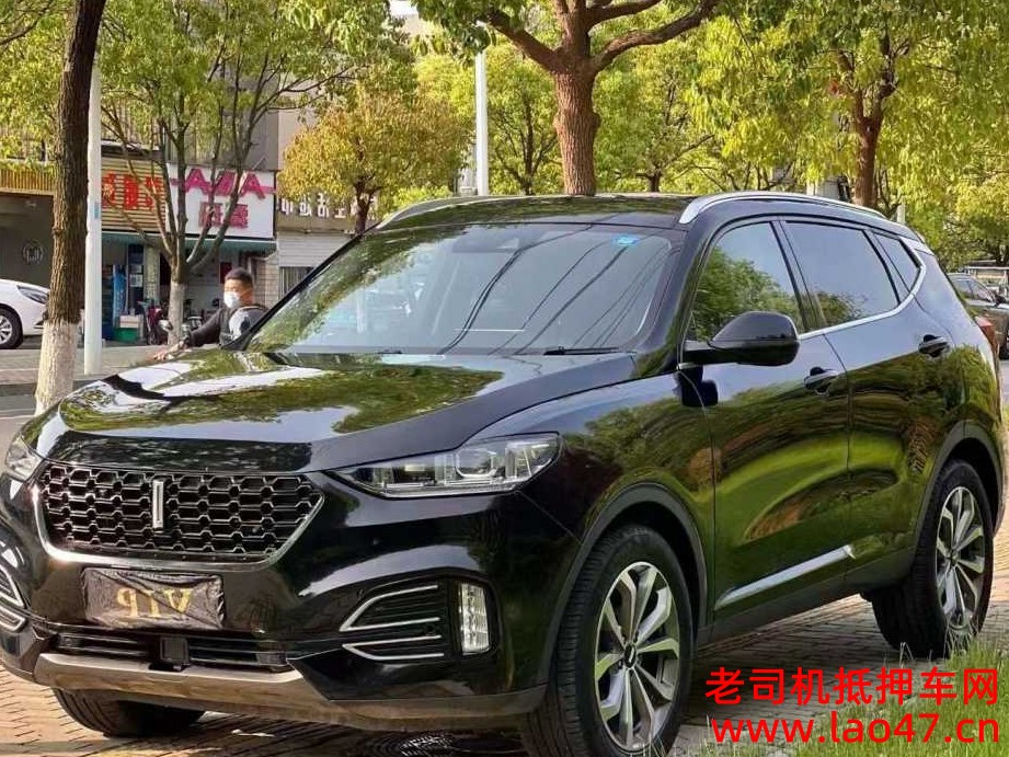 22곤WEY VV6