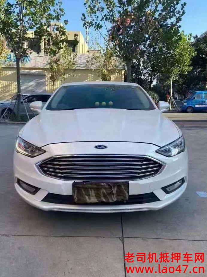 20긣ɵŷ