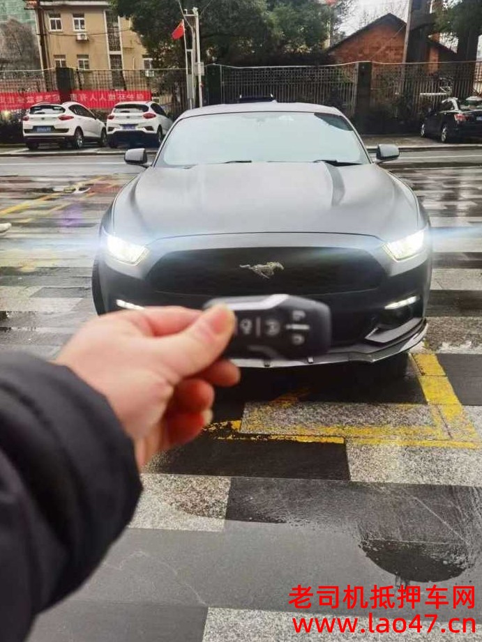Ž21긣ҰMustang