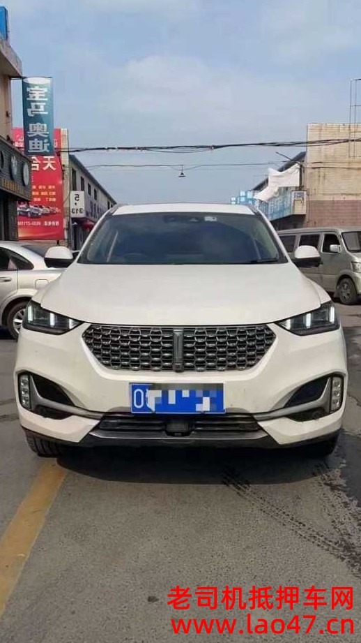 ׯ23곤WEY VV6