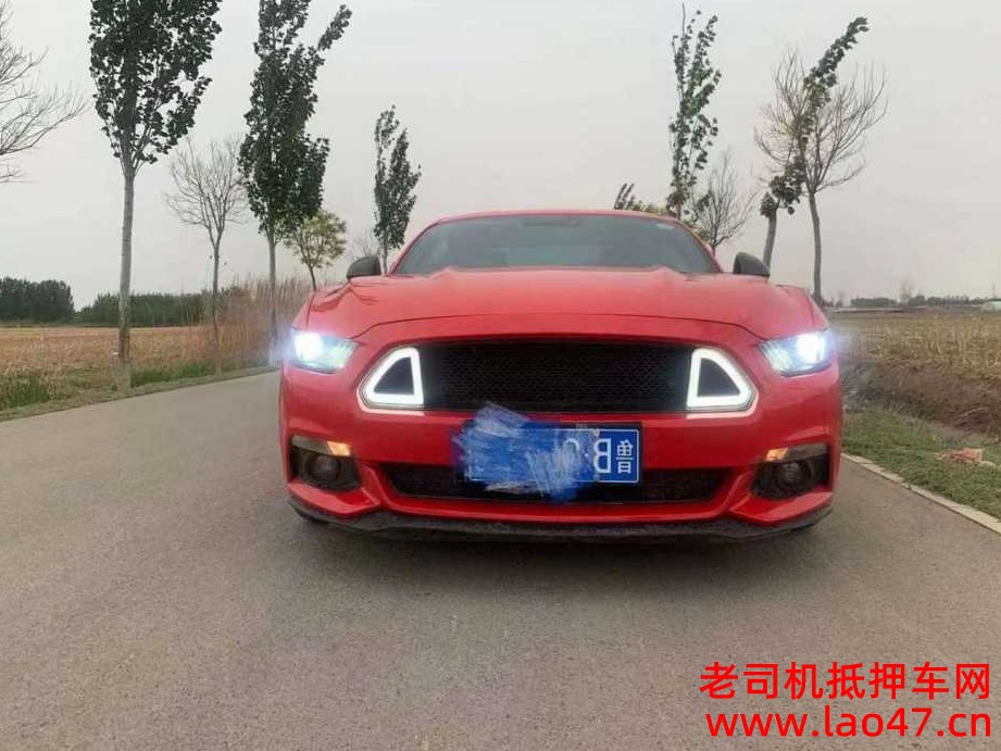 8.9ԪҰMustang