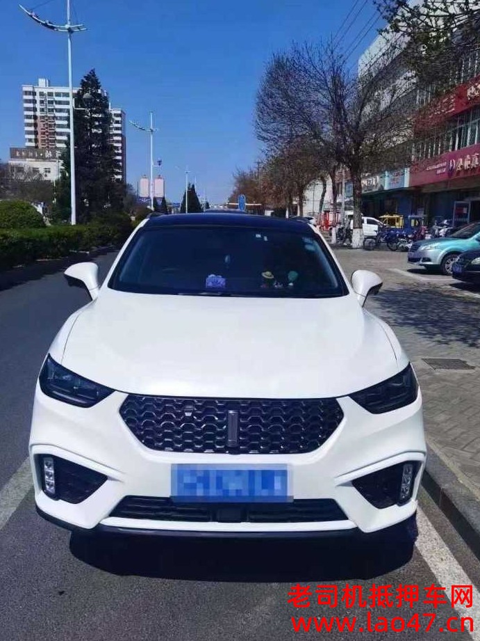 ɽѺ