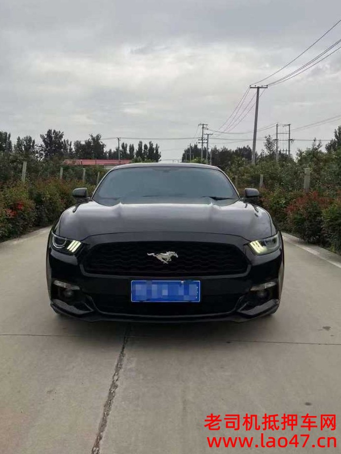 9.6ԪҰMustang