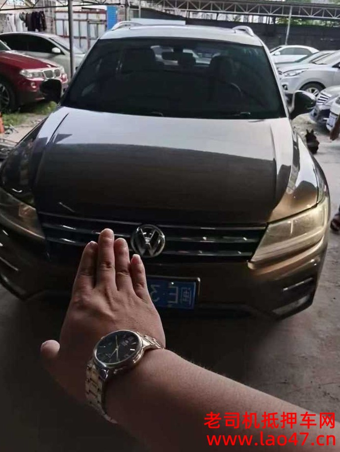 ػʵг
