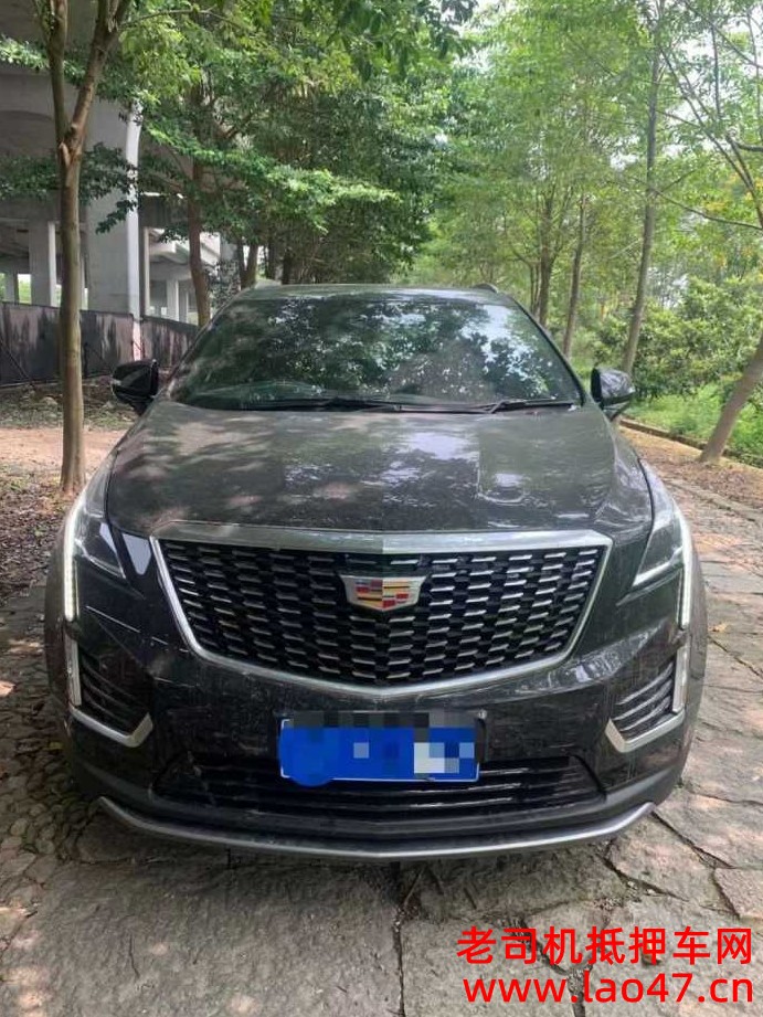 XT5ͼƬ