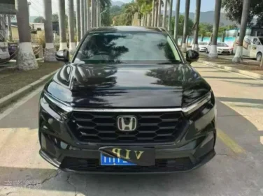 如何判断抵押车是否只押过一次？查验大本是关键步骤