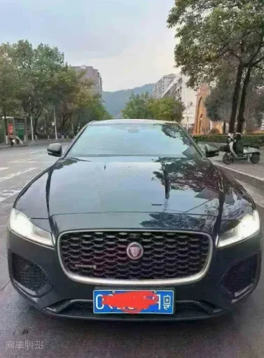 抵押车丢失保险会赔吗？解析债权车保险理赔的真实困境