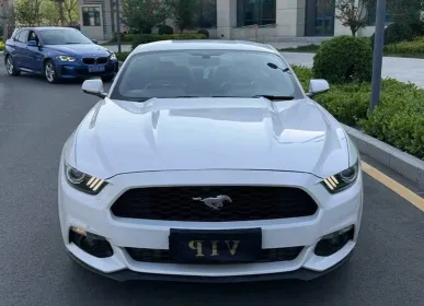 抵押车分类避坑指南：按风险等级选车最安全