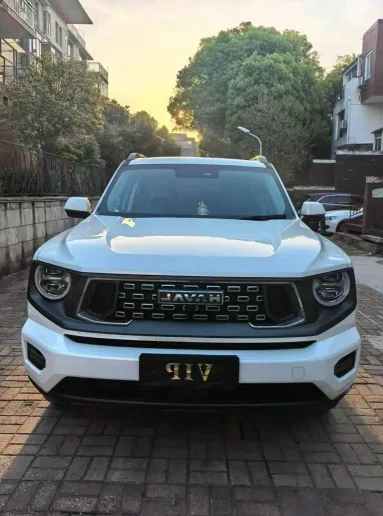 到期出库车是什么？质押车类型详解与风险提示