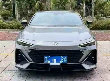抵押车类型怎么判断？看描述识风险选靠谱车